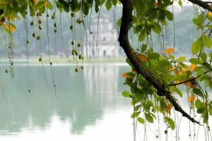 Đề phòng mối nguy từ nắng thu