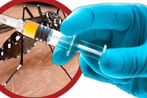 5 người Hà Tĩnh tử vong tại Angola vì bệnh sốt xuất huyết