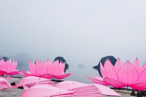 Đại lễ Vesak LHQ 2019: Khai mạc chuỗi các sự kiện văn hóa Phật giáo Đại lễ Vesak LHQ 2019: Khai mạc chuỗi các sự kiện văn hóa Phật giáo