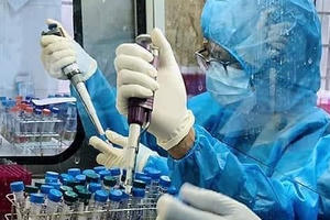 Đồng Nai: 100% thành viên hội đồng tuyển sinh lớp 10 đủ điều kiện sức khoẻ phục vụ công tác