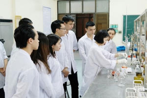 Nhát búa “10 nghìn đô la” và giá của chất xám!