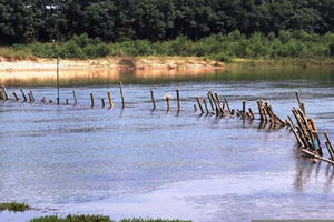 Vụ 'dàn trận địa cọc tre' ngăn cát tặc: Doanh nghiệp vi phạm chây ì khắc phục