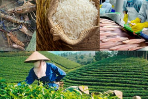 Bảo vệ thương hiệu Việt Bảo vệ thương hiệu Việt