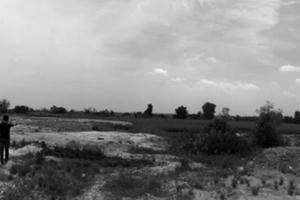 “Oán khí” ở dự án tỷ đô: Xuyên tạc vựa lúa 700ha là "vùng đất chết"