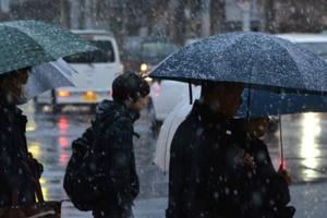 Tokyo lần đầu đón tuyết giữa tháng 11 trong hơn nửa thế kỷ