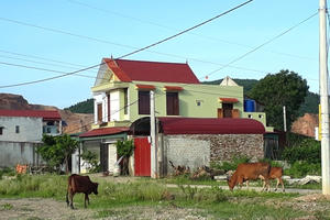 Bí thư xã Hà Ninh bị cấm đi khỏi nơi cư trú