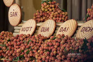 Bản lĩnh 'vượt khó' của Việt Nam