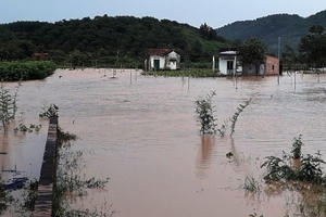Thiên tai năm 2020, Lâm Đồng thiệt hại khoảng 100 tỷ đồng và 5 người thiệt mạng