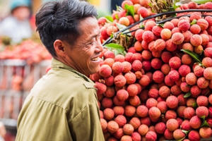 Tin kinh tế 8AM: Hủy niêm yết 20 triệu cổ phiếu HTT trên HOSE từ 18/6; Gạo trên thế giới bất ngờ tăng giá