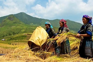 Phó Thủ tướng Trương Hòa Bình đồng ý Ủy ban Dân tộc xây dựng 3 đề án
