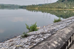 Pháp luật Plus 6AM: Bà nội sát hại cháu ruột, ánh mắt không ăn năn hối lỗi