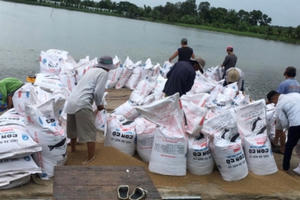 Hậu Giang: Hơn 5.300 tấn thuỷ sản còn tồn đọng, do sản lượng tiêu thụ thấp