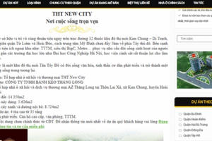 AZ Thăng Long “lột xác” THT New City... tai tiếng thế nào?