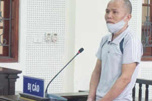 Vận chuyển bao gạo chứa ma túy để lấy 15 triệu tiền công