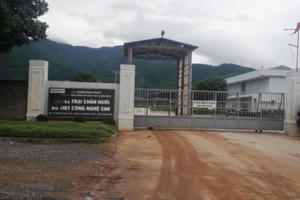 6 triệu m2 nông trường bị Hòa Phát 'thôn tính' không tốn 1 xu