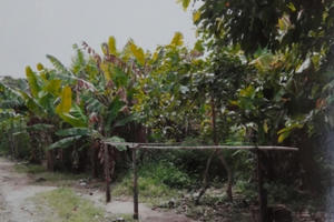 Kỳ 2 - Kiên Giang: Phó chủ tịch TP Rạch Giá phớt lờ chỉ đạo của UBND tỉnh?