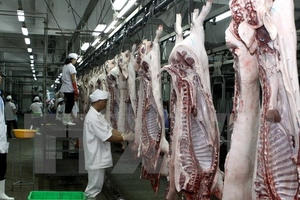 TP HCM chấm dứt hoạt động các lò giết mổ thủ công trong năm 2017