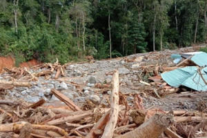 Tìm được 9 thi thể trong 13 nạn nhân vụ sạt lở ở Phước Sơn