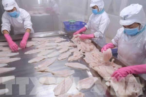 Xuất khẩu cá tra giảm tới 39% Xuất khẩu cá tra giảm tới 39%