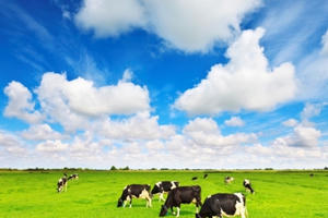 Vinamilk tiên phong thị trường thực phẩm organic cao cấp tại Việt Nam