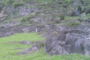 Bỉm Sơn – Thanh Hóa: Cho rằng bị truy tố oan sai, cựu bí thư phường kêu cứu.