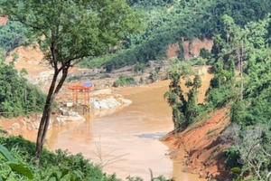 Kỷ luật những lãnh đạo địa phương đề xuất phá rừng