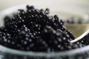 “Sốc” với những món ăn giá nghìn đô của đại gia Việt