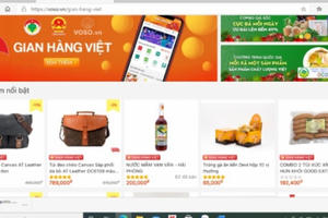 Kỳ vọng siêu thị hàng Việt online