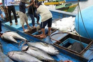 Quyết tâm gỡ 'thẻ vàng' đối với thủy sản vào đầu năm 2019