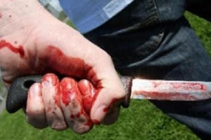 Lạng Sơn: Anh rể dùng dao chém em dâu tử vong khi đang đi cấy