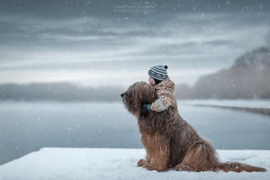 Những bức ảnh dễ thương về "Em bé và những chú chó lớn"