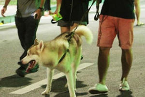 Hành xử vô trách nhiệm - chuyện nói mãi vẫn thế