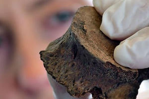 Phá vụ án đã xảy ra từ… 3846 năm