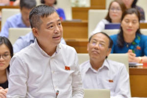 Hô hào trồng rừng nhưng lại cho khởi công các đại dự án ngay lõi rừng