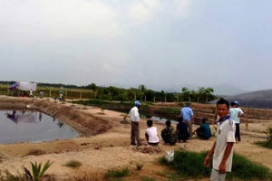 Hà Tĩnh: Bàng hoàng phát hiện xác người tại trang trại chăn nuôi lợn