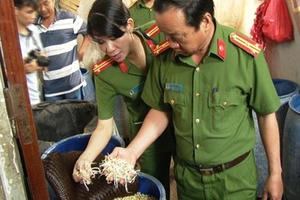 Phát hiện cơ sở sản xuất giá đỗ dùng chất tăng trưởng lạ