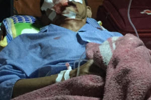 Cựu chiến binh 80 tuổi bị tấn công tổn hại 27% sức khỏe nhưng có tới 3 quyết định không khởi tố vụ án?