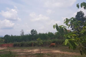 Tận mắt 'siêu dự án' của Công ty địa ốc Alibaba: Bãi đất xác xơ được 'nổ' “dự án vươn tầm thế giới”