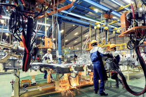 Tập đoàn kinh tế mạnh có thể dẫn dắt cả nền kinh tế