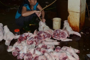 Nghệ An: Phát hiện lò mổ lợn cung cấp thịt nhiễm chất tạo nạc