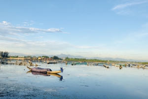 Thừa Thiên Huế: Thành lập Khu bảo tồn thiên nhiên đất ngập nước Tam Giang – Cầu Hai