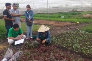 Một căn nhà lá, hai trái tim xanh