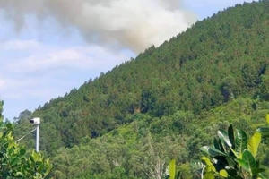 Nghệ An: Trời nắng nóng, lửa bùng phát trên núi Nguộc huyện Thanh Chương