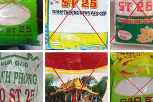 Gạo giả mạo thương hiệu ST25 tràn lan trên thị trường: Cần chế tài xử lý mạnh mẽ!