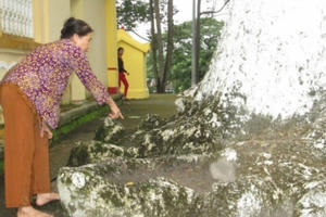 Linh thiêng cây dầu trăm tuổi ở Thoại Sơn