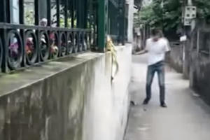 Mất mạng vì thói quen chửi đổng