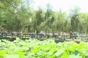 Thời sự 9h sáng ngày 19/5/2016