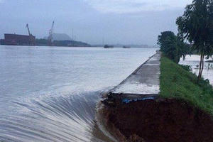 Nam Định: Nhiều đoạn đê xung yếu nằm trong vòng nguy hiểm