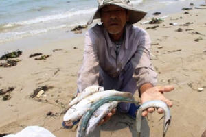 Formosa là thủ phạm khiến cá chết ở 4 tỉnh miền Trung