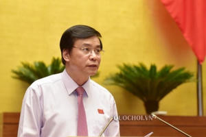 Năm 2021, Quốc hội sẽ không giám sát chuyên đề